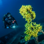 wreck-diving